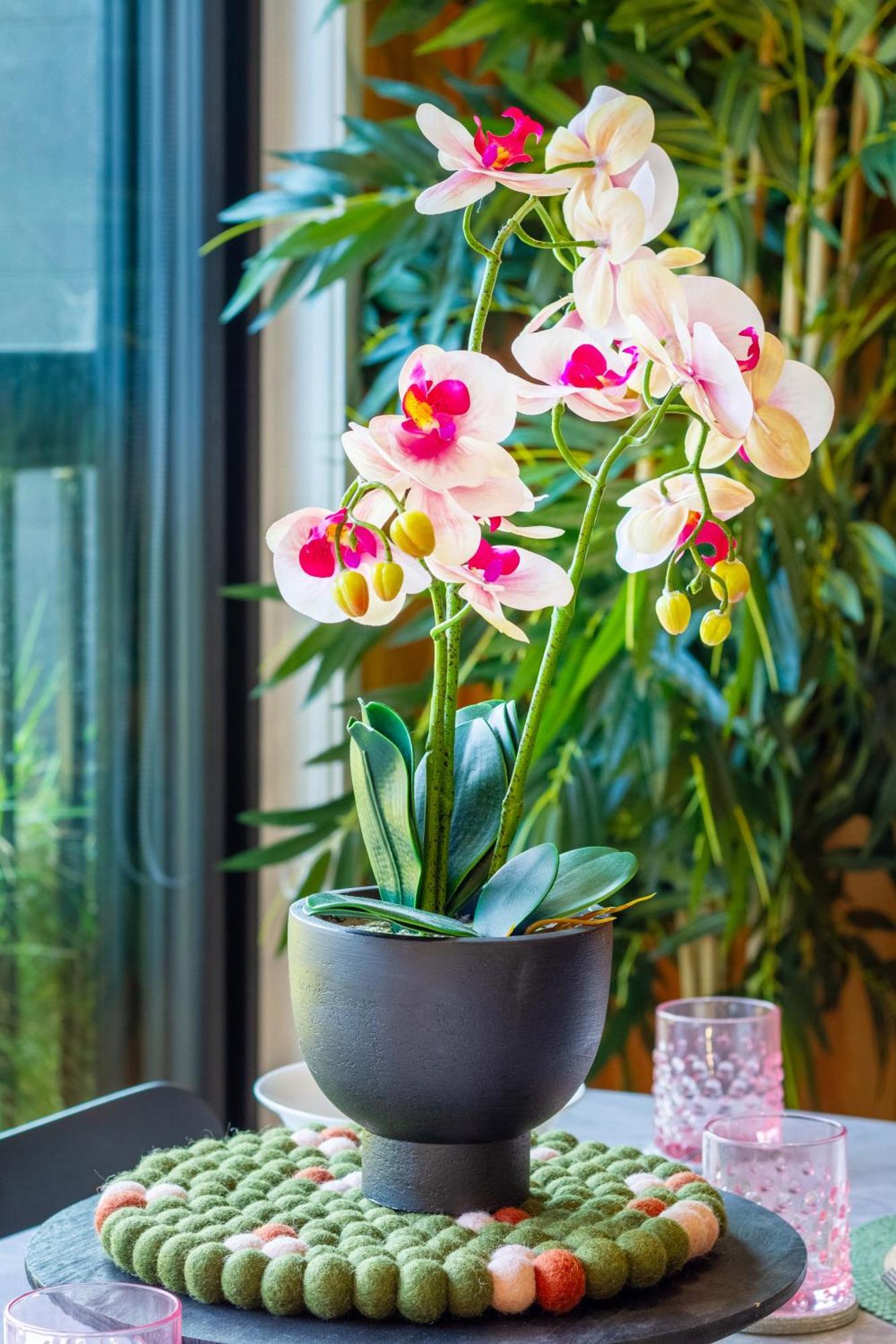 Cozy 1-Bed Apartment With Park Views, Sleeps 4 Christchurch Bagian luar foto